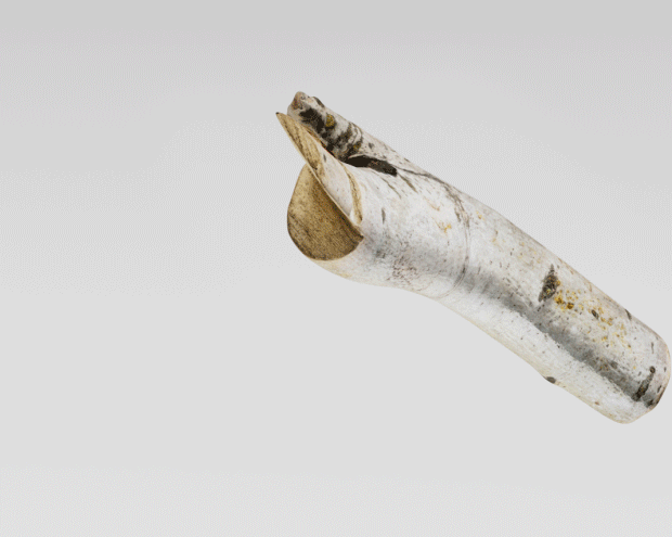 gif of a branch transforming into flowery fabric