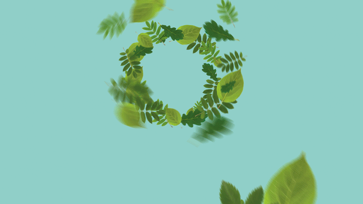 Animated gif extract showing leaves moving in the wind creating a spiral