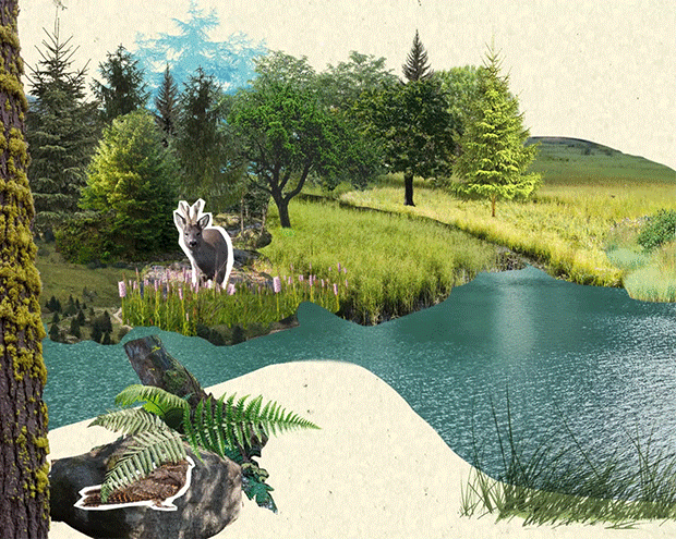 Animated extract of a motion design video representing a collage style bird flying across the screen.