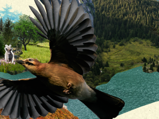 LIFE Biodiv'Est - Explainer
