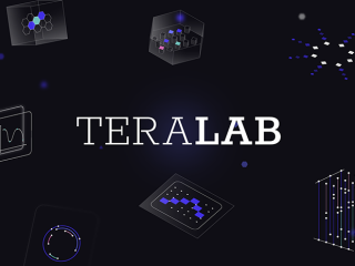 TERALAB - Explainer